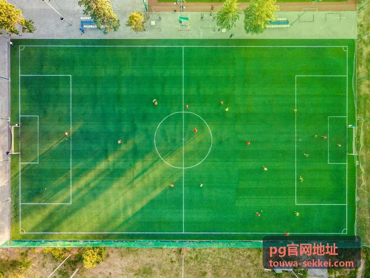 pg官网地址会员等级体系说明页面头图