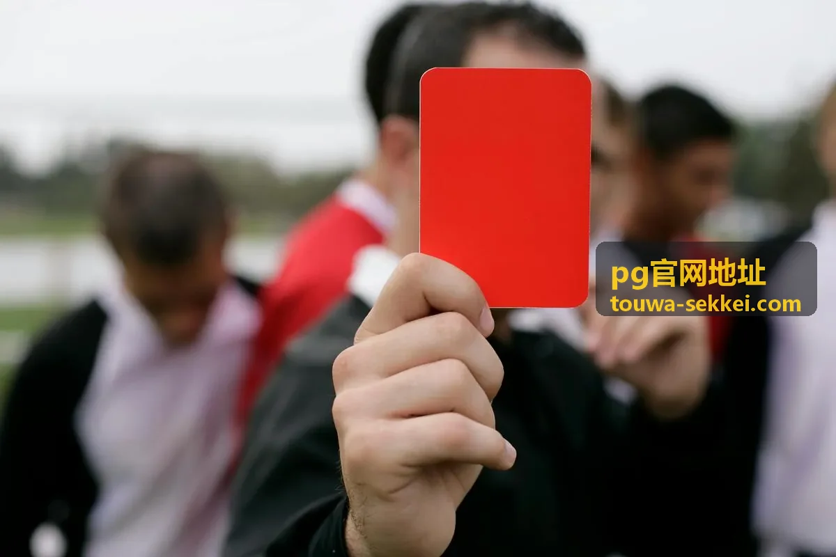 pg官网地址等级升级条件核对示意