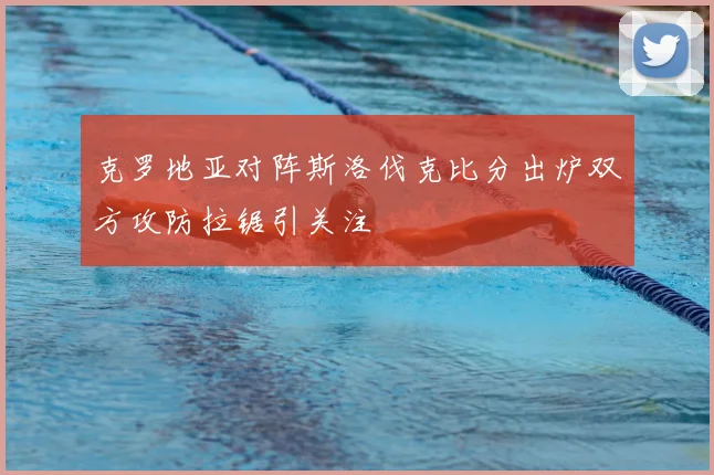 克罗地亚对阵斯洛伐克比分出炉双方攻防拉锯引关注