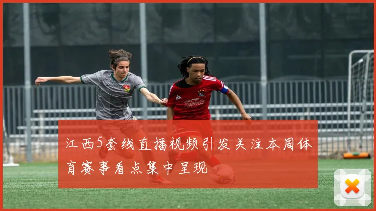 江西5套线直播视频引发关注本周体育赛事看点集中呈现