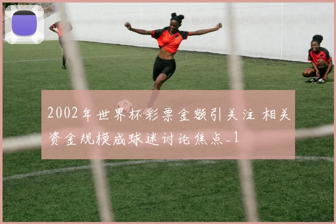 2002年世界杯彩票金额引关注 相关资金规模成球迷讨论焦点_1