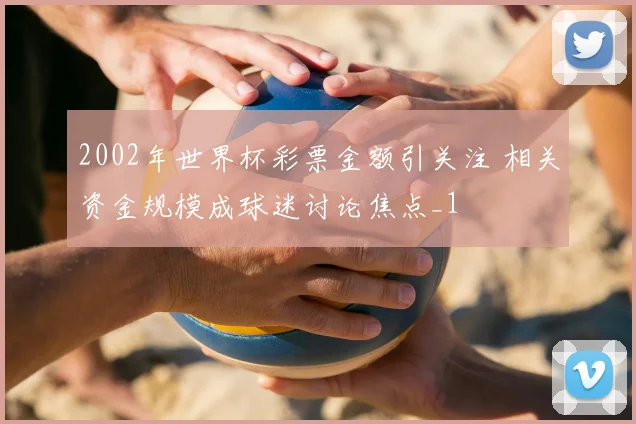 2002年世界杯彩票金额引关注 相关资金规模成球迷讨论焦点_1